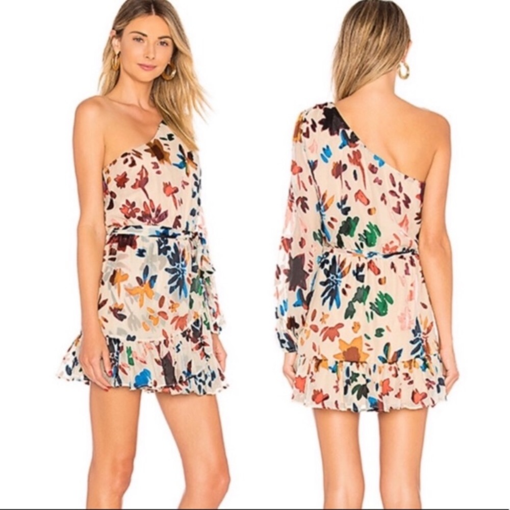 TulaRosa Ina Dress One Shoulder Burn Out